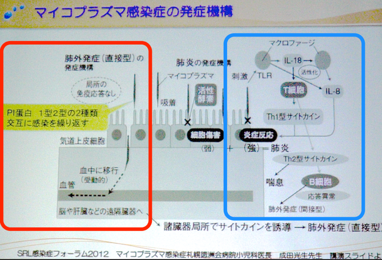 スクリーンショット_2013_01_24_20_58.png スクリーンショット 2013 01 24 20 58