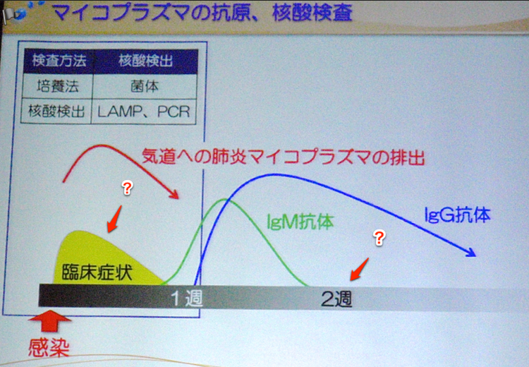 スクリーンショット_2013_01_25_23_02.png スクリーンショット 2013 01 25 23 02