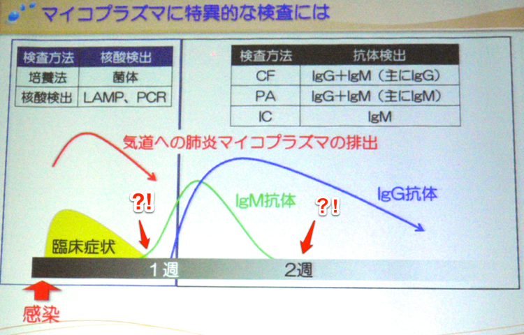 マイコプラズマに特異な検査-2.png マイコプラズマに特異な検査 2