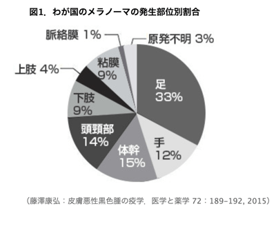 メラノーマの分布 tiff