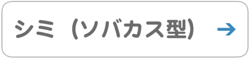 シミ ソバカス型