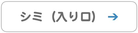 シミ 入り口