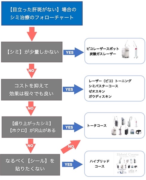 トータル 肝斑なし フローチャート