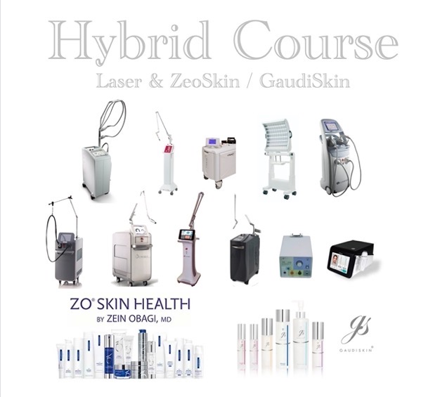 Hybrid course