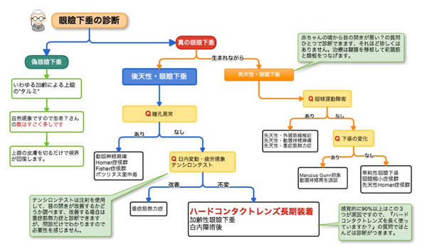 眼瞼下垂の診断