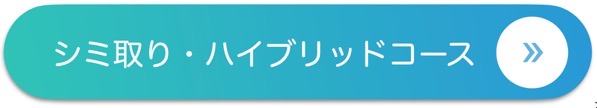 シミ取り ハイブリッドコース