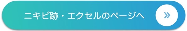 ニキビ跡 エクセル