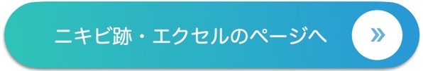 ニキビ跡 エクセル