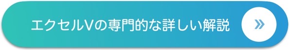 エクセルVの専門的な詳しい解説