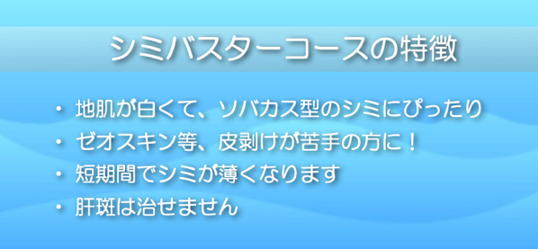 シミバスターコースの特徴