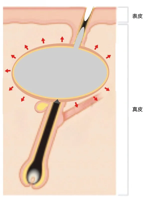 粉龍の穴